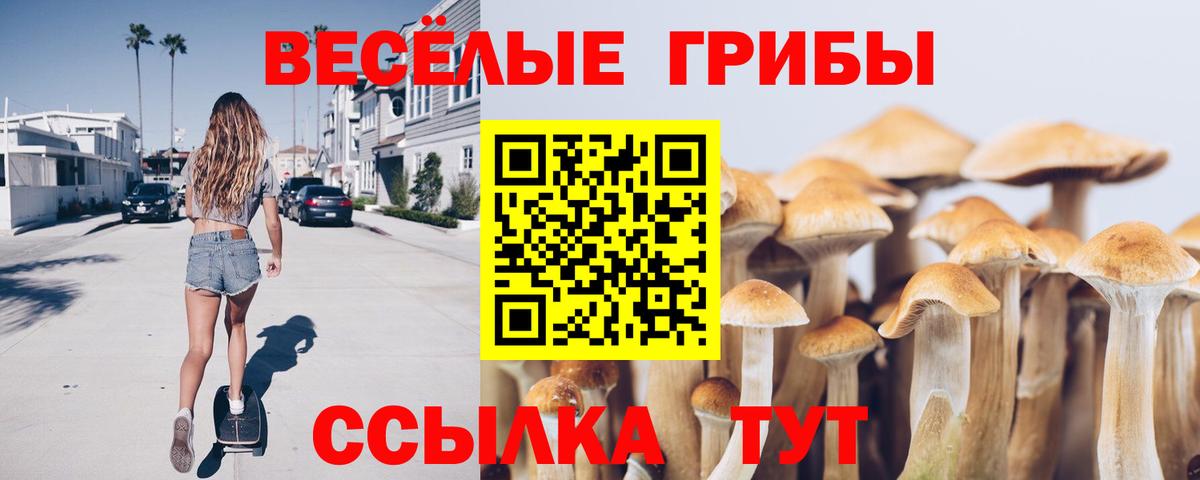 Ишим  Псилоцибиновые грибы ЛСД  Псилоцибиновые грибы ЛСД  Вход с VPN 